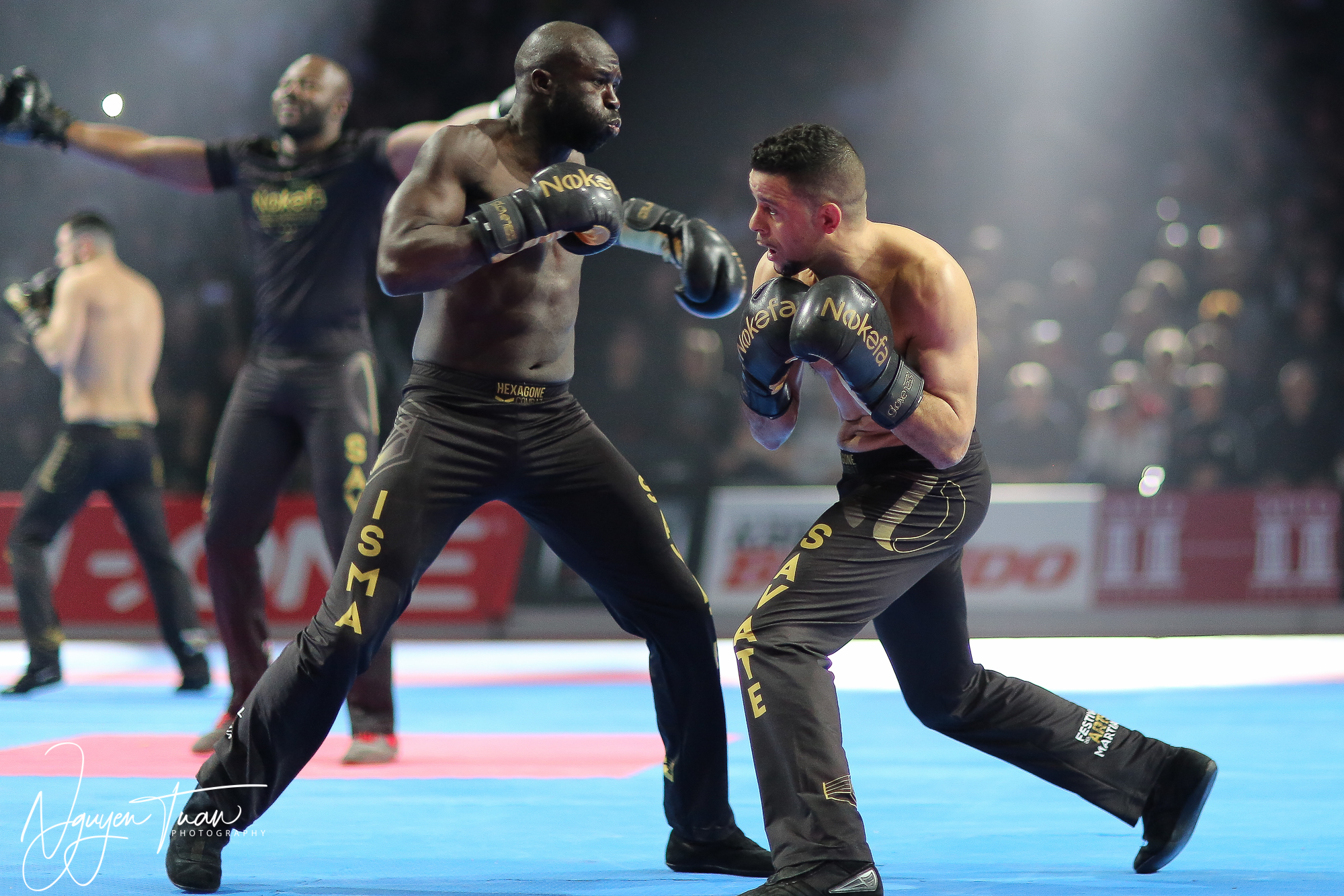 20190324 Festival des Arts Martiaux 2209